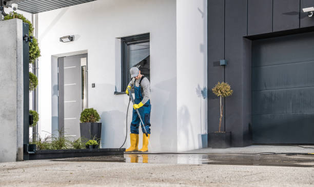 Best Pre-Holiday Cleaning  in Bazon, CA